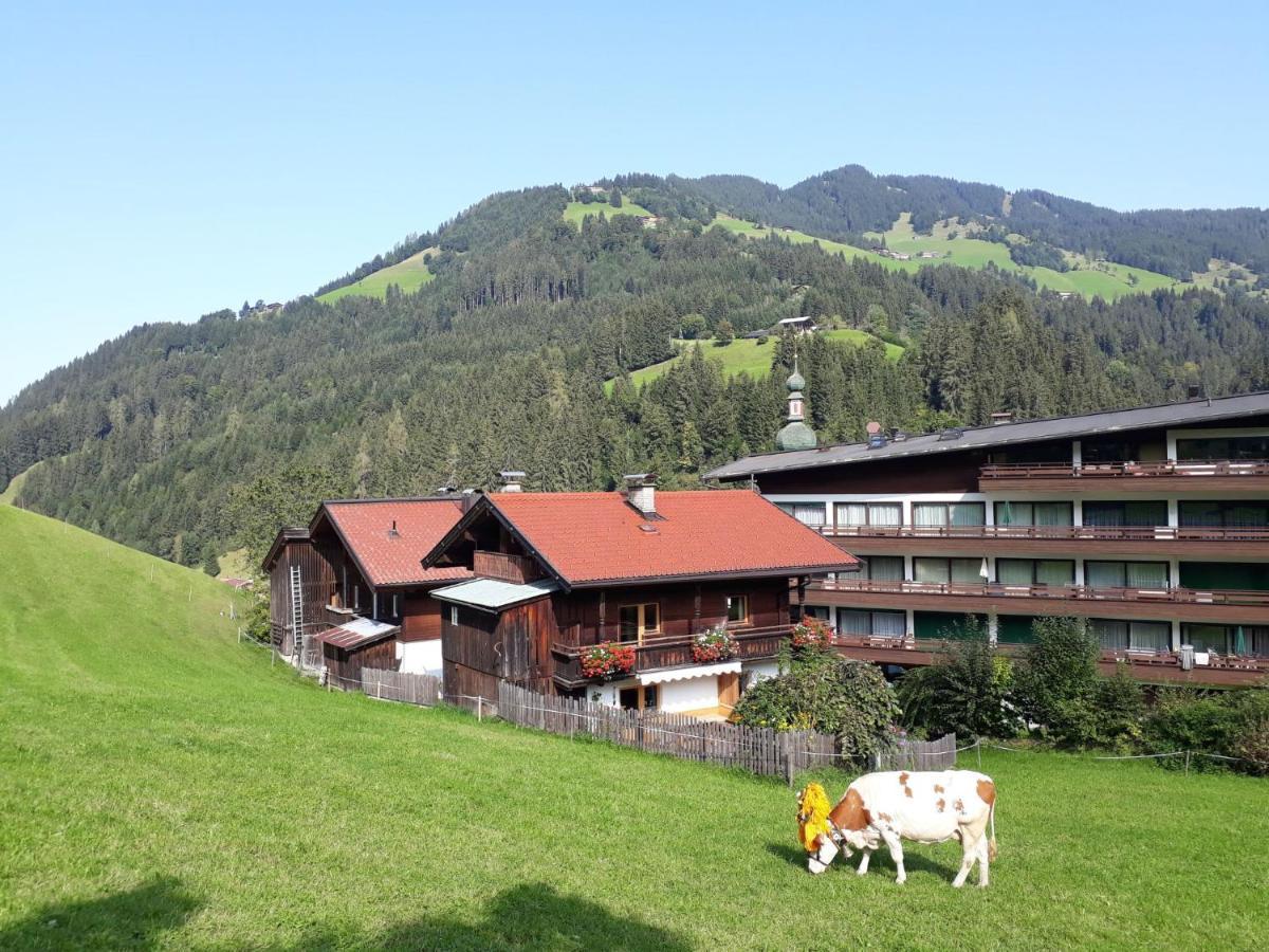 Holiday Home Sonnheim - Wil560 By Interhome Auffach Exterior foto